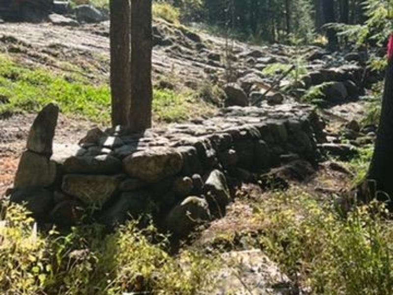 IMG951695