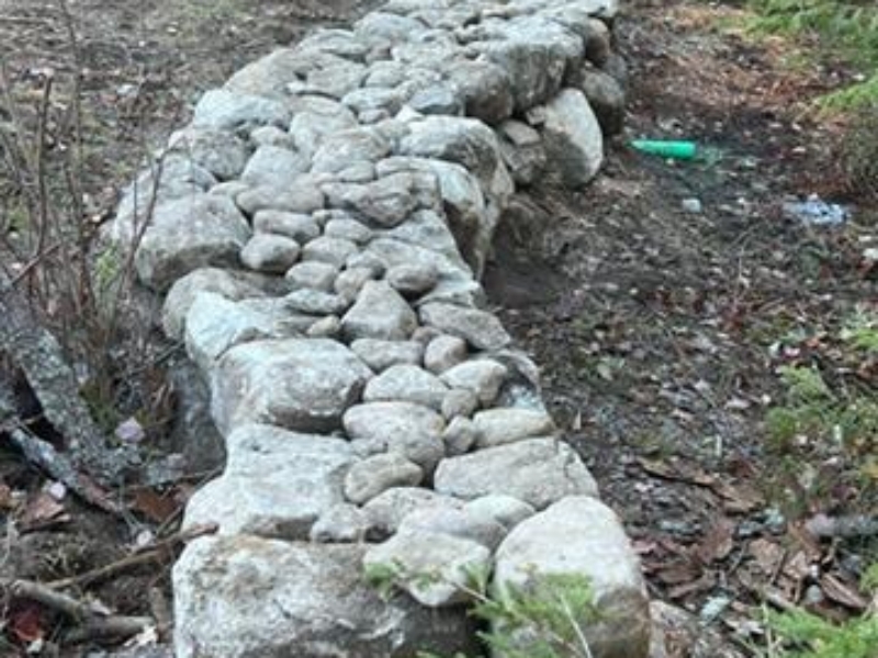 IMG951732